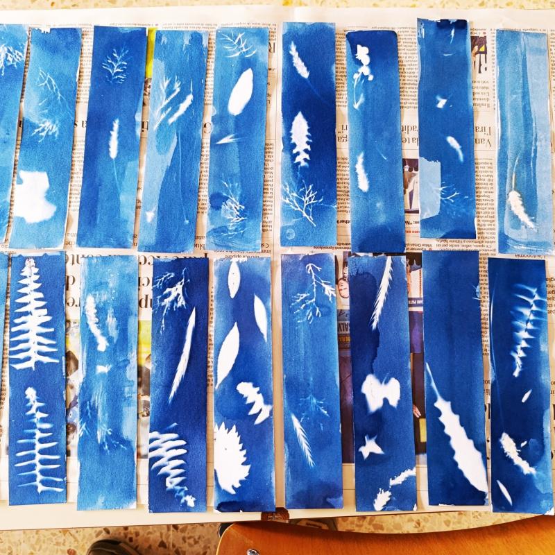 il giardino blu